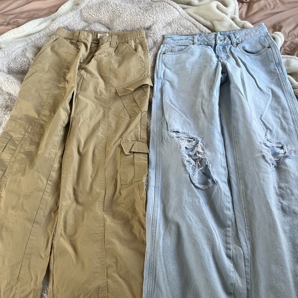 PacSun Low Rise Puddle Pant and Baggy Jean